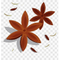 Anise
