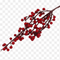 Baies Rose