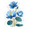 Blue Water Lily