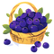 Blueberry