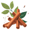 Cinnamon