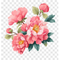 Peony
