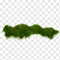 Rich Woods & Earthy Moss