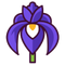 Tuscan Iris