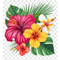 Tropical