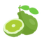 Bergamot