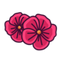 Geranium