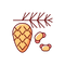 Cedar