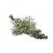 Oakmass