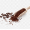 Mocha