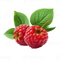 Raspberry