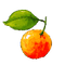 Guava