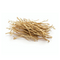 Vetiver